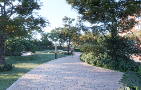Tree-lined Avenues